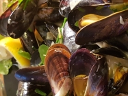 Mussels from Hastings