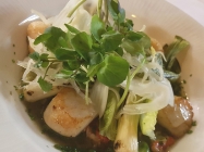 Summer Scallops